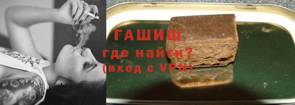стаф Алзамай
