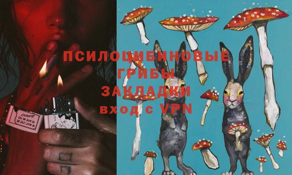 стаф Алзамай