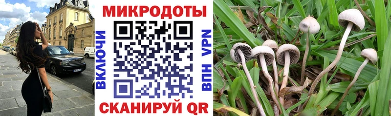 Галлюциногенные грибы GOLDEN TEACHER  где купить наркоту  omg как войти  Каргат 